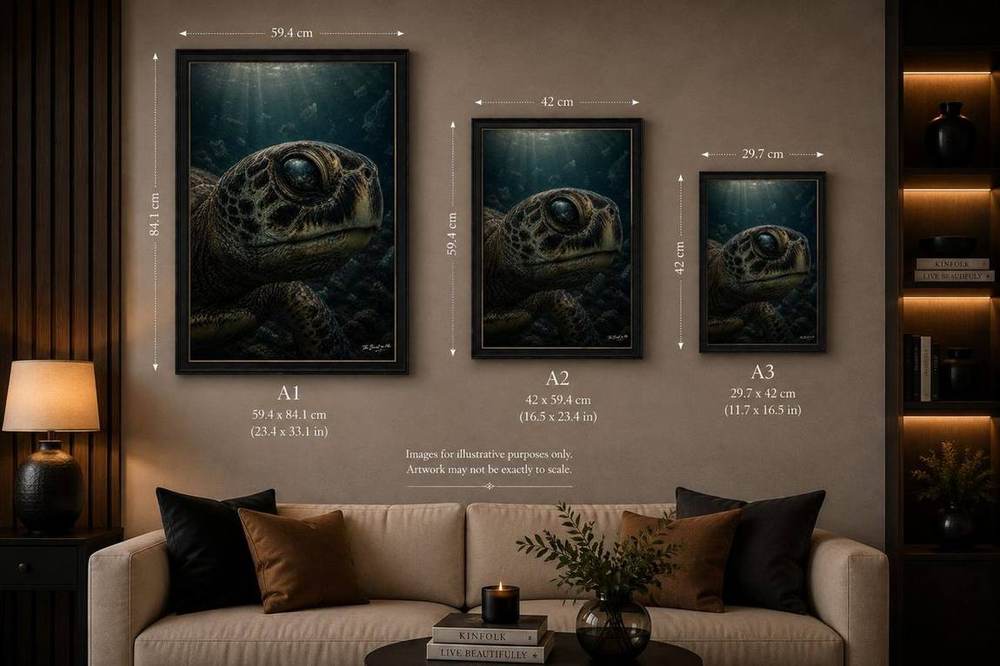 Plastic Tide — size reference